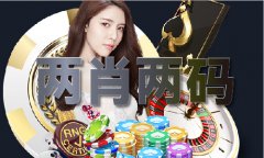 山东材料软件一般用什么品牌